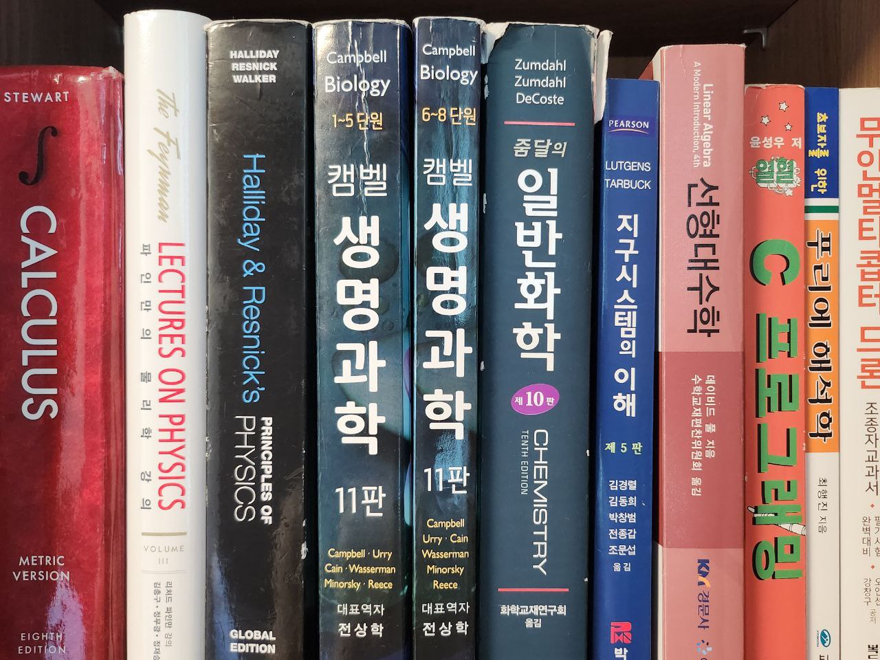 임서균_02.jpg