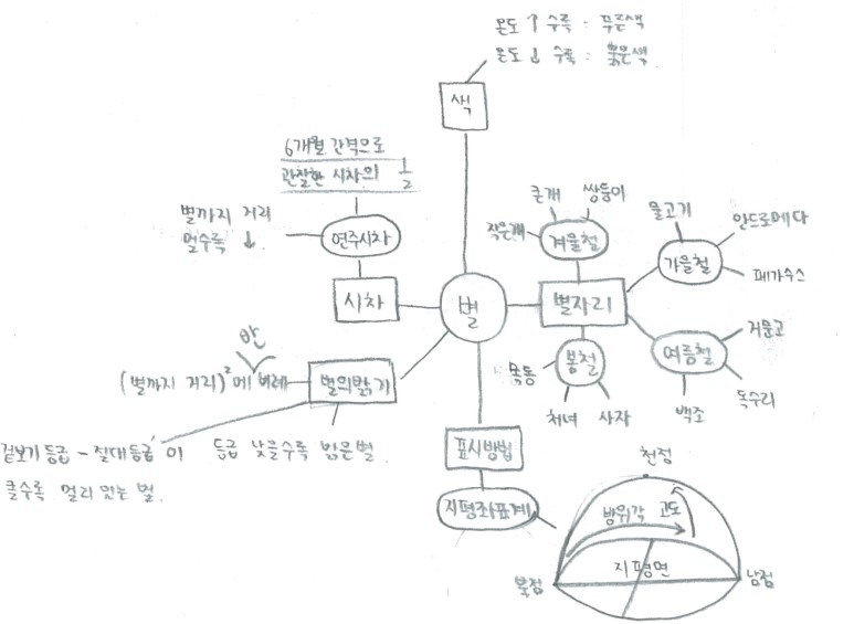 마인드맵_이미지.jpg